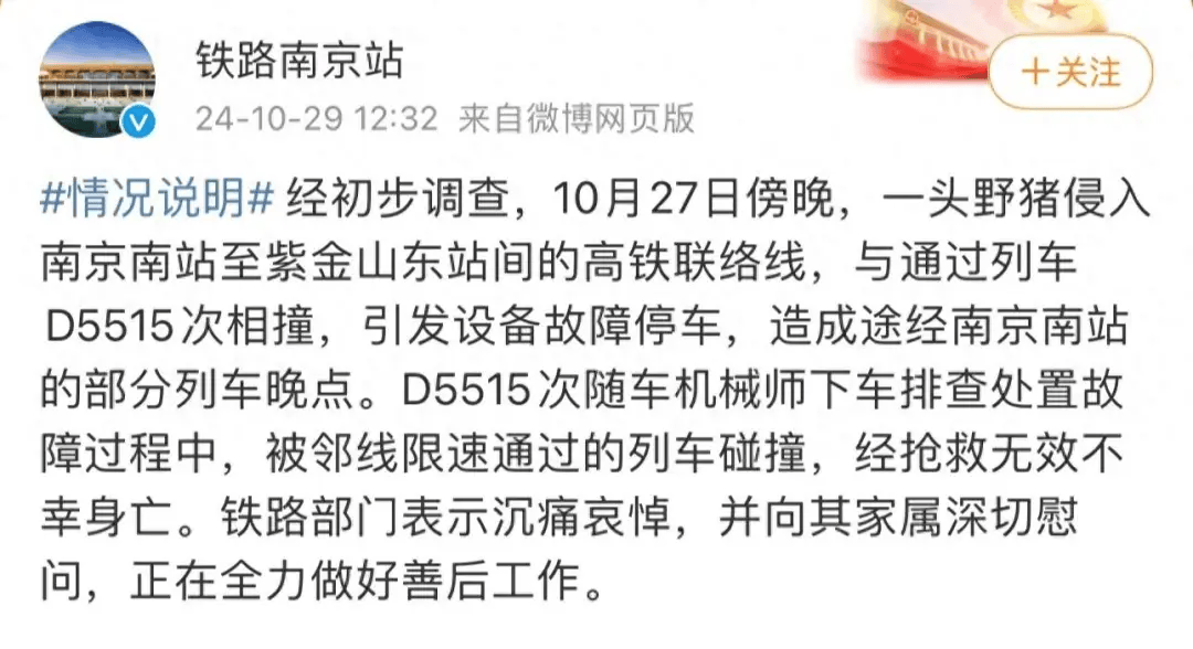 街頭橫沖直闖，抱娃女子被撞傷，警方：已被特警擊斃