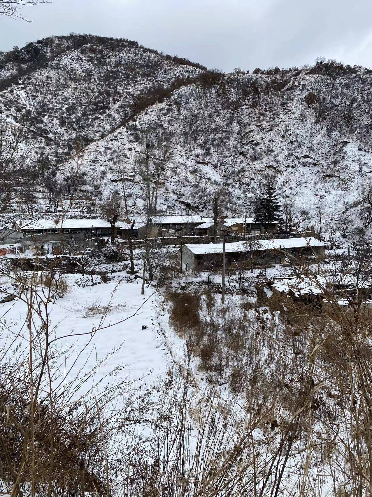 北京海拔最高山村：積雪已沒(méi)過(guò)腳面，山林銀裝素裹