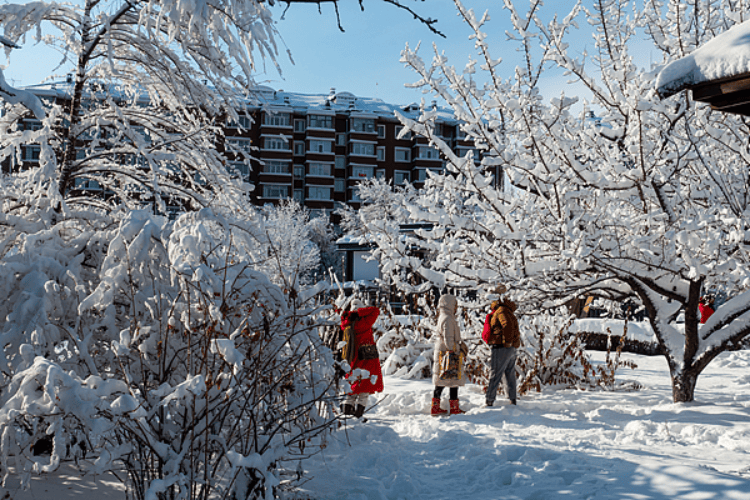 今日大雪：仲冬時(shí)節(jié)開(kāi)始 北方降雪增多寒徹骨 南方降雨為主