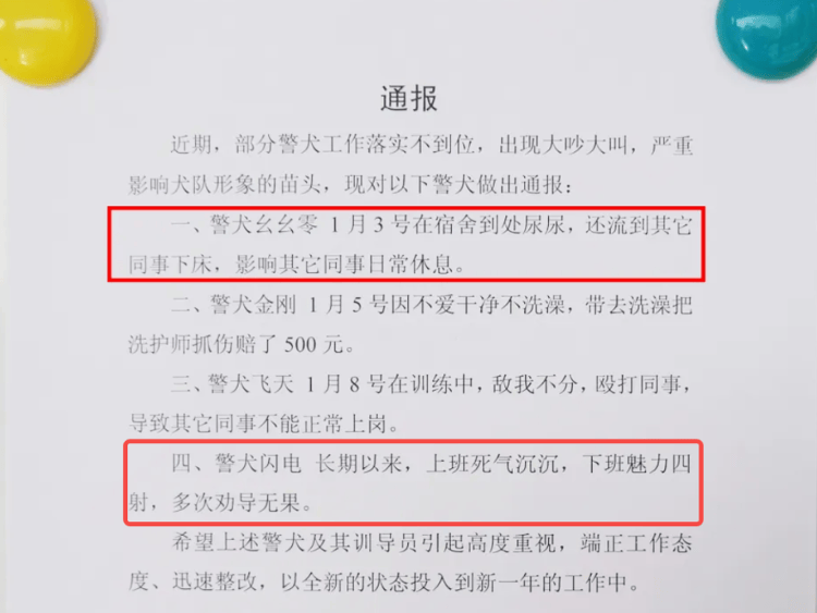 “上班死氣沉沉、下班魅力四射”，警犬被通報(bào)