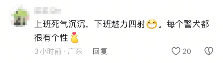 “上班死氣沉沉、下班魅力四射”，警犬被通報(bào)