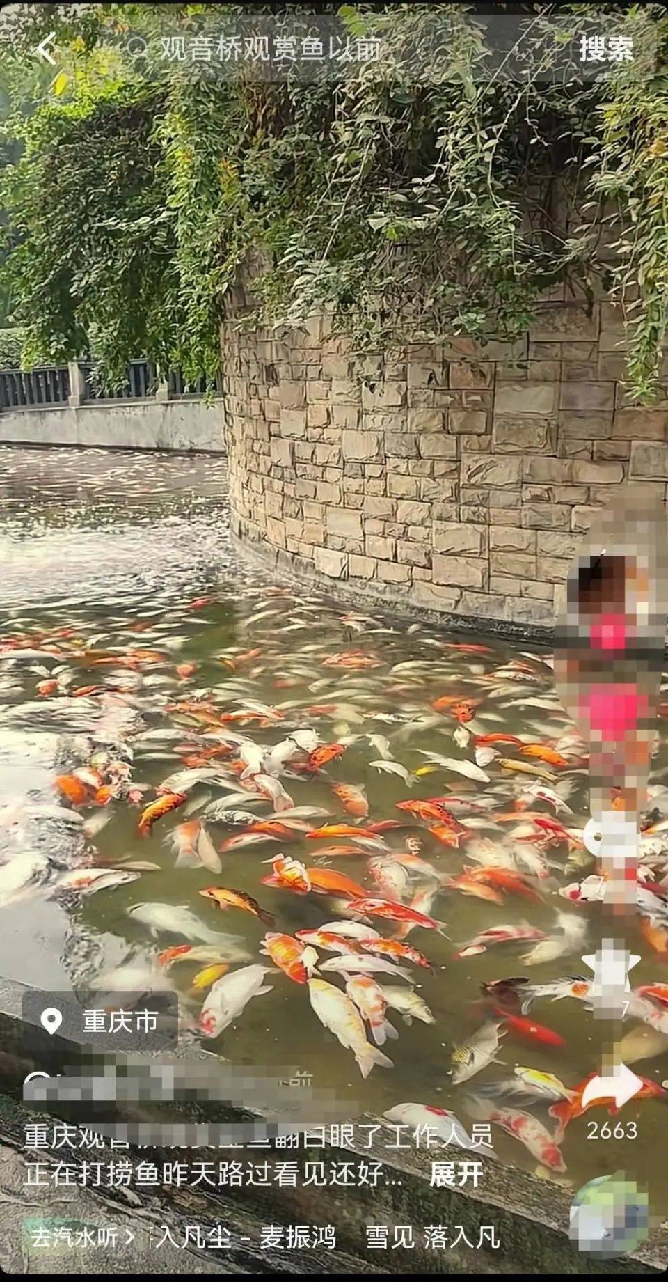 ?一公園觀賞魚大量死亡，死魚裝滿30余編織袋，警方通報(bào)