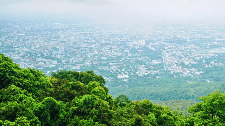 25人赴泰國(guó)旅行訂機(jī)票后退訂遭拒，旅行社回應(yīng)：臨時(shí)團(tuán)隊(duì)票不退不改簽