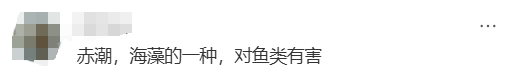 海邊密集出現(xiàn)“爆爆珠”？廣州、深圳等多地發(fā)布提醒