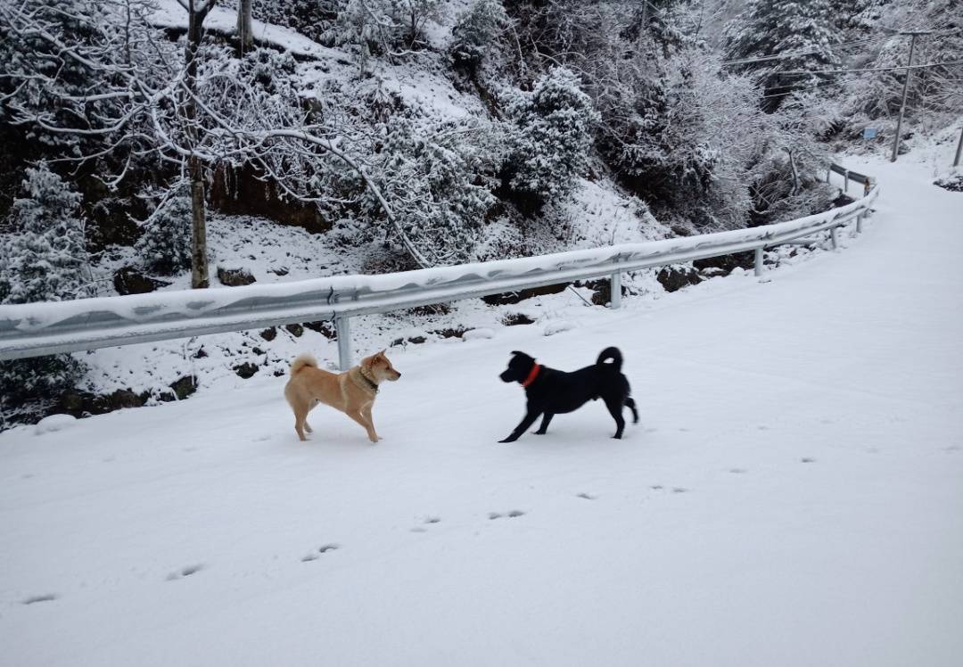 零下7℃！大到暴雪！剛剛確認：杭州又來一波猛的！周末出門千萬注意.....