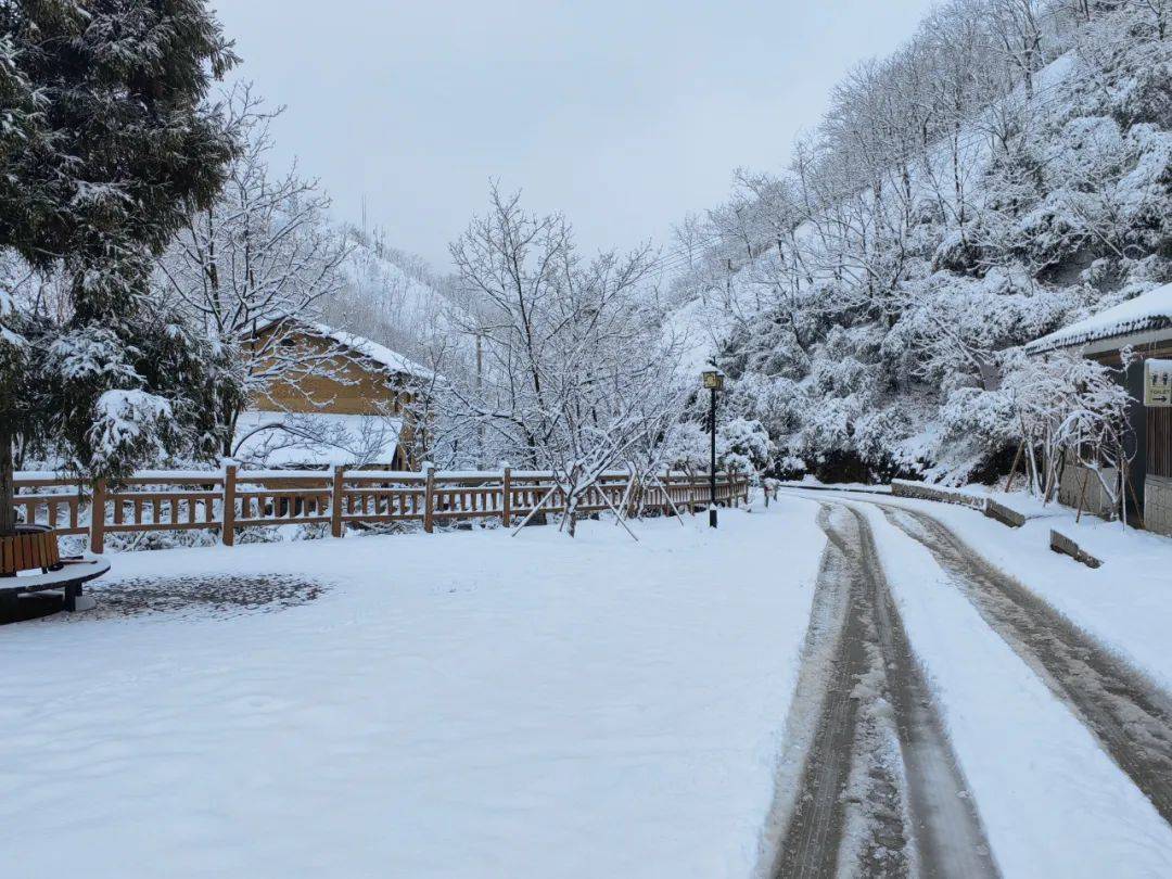 零下7℃！大到暴雪！剛剛確認(rèn)：杭州又來(lái)一波猛的！周末出門(mén)千萬(wàn)注意.....