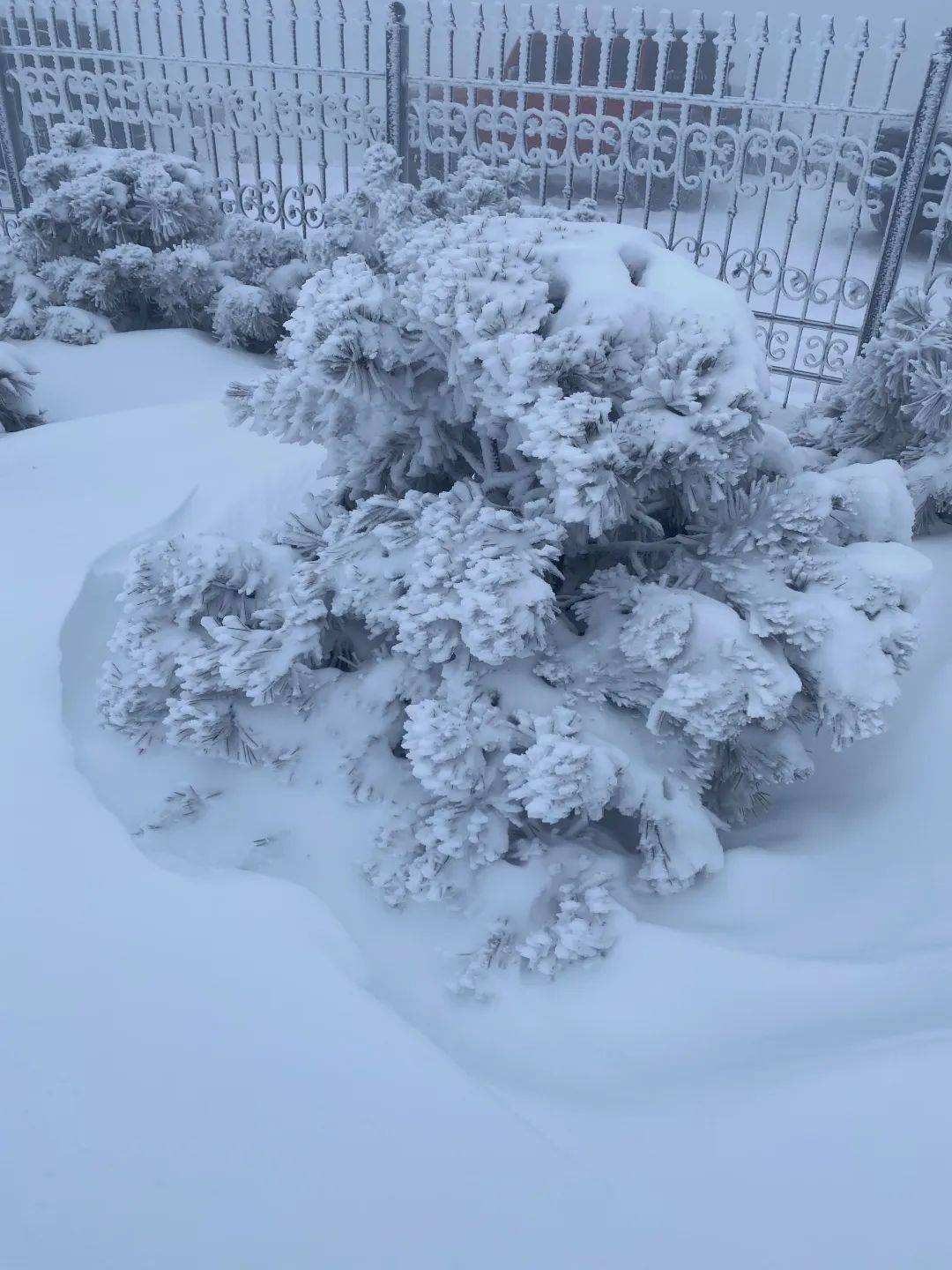 零下7℃！大到暴雪！剛剛確認：杭州又來一波猛的！周末出門千萬注意.....