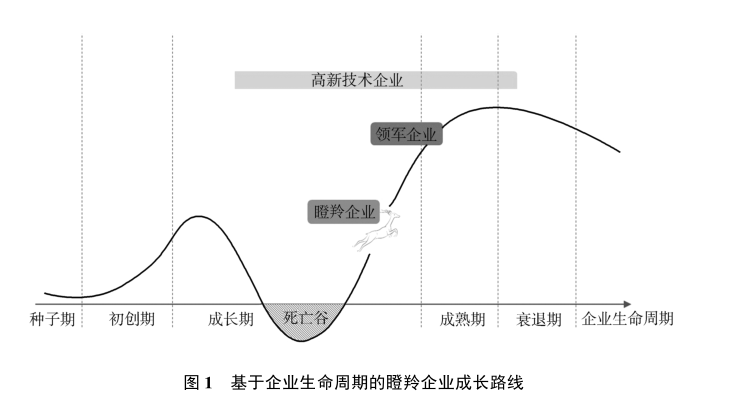 政府工作報告中的新詞“瞪羚企業(yè)”，是什么意思